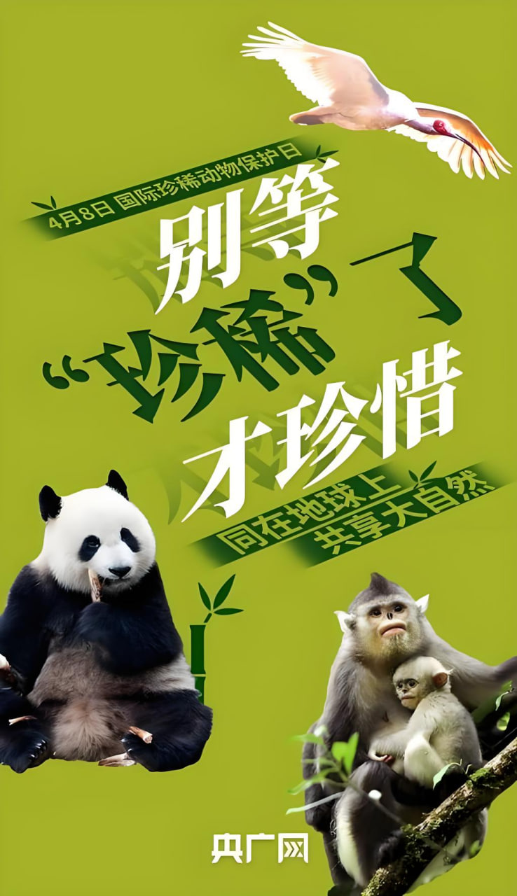 热门电影1